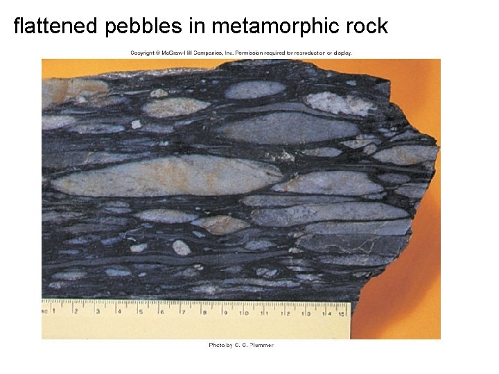 flattened pebbles in metamorphic rock 