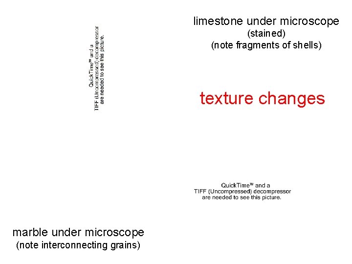 limestone under microscope (stained) (note fragments of shells) texture changes marble under microscope (note