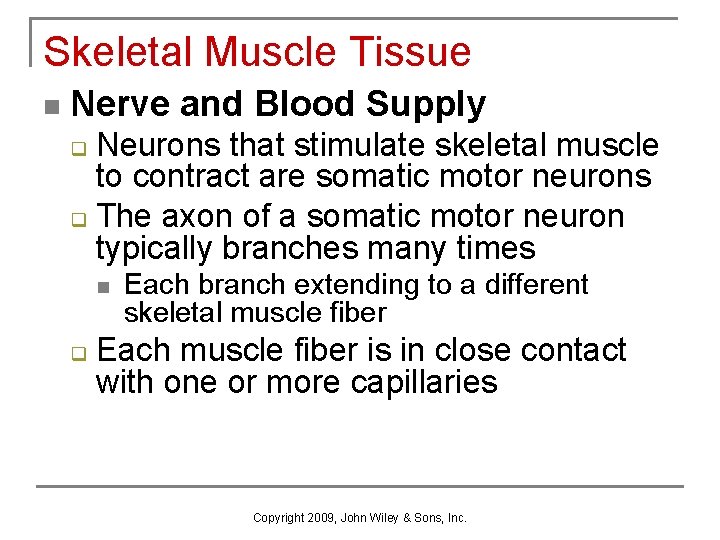 Skeletal Muscle Tissue n Nerve and Blood Supply Neurons that stimulate skeletal muscle to