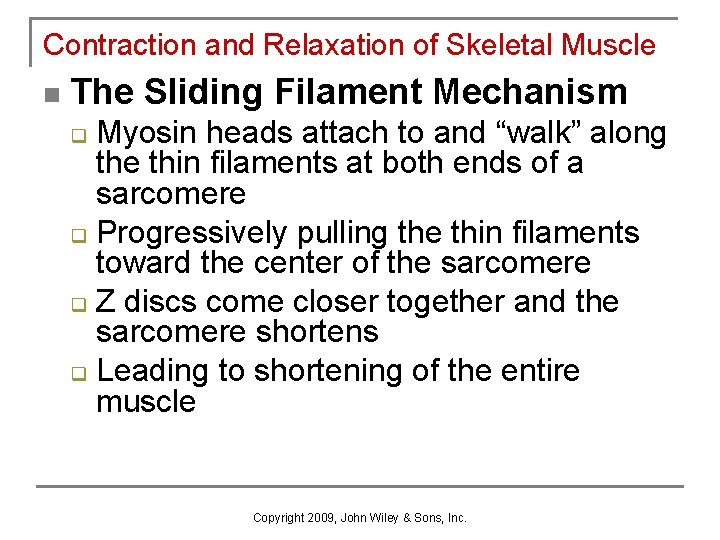 Contraction and Relaxation of Skeletal Muscle n The Sliding Filament Mechanism Myosin heads attach