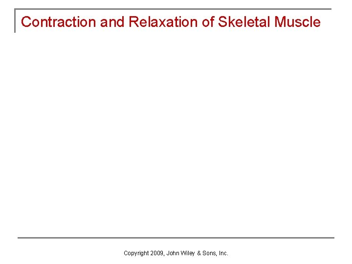 Contraction and Relaxation of Skeletal Muscle Copyright 2009, John Wiley & Sons, Inc. 