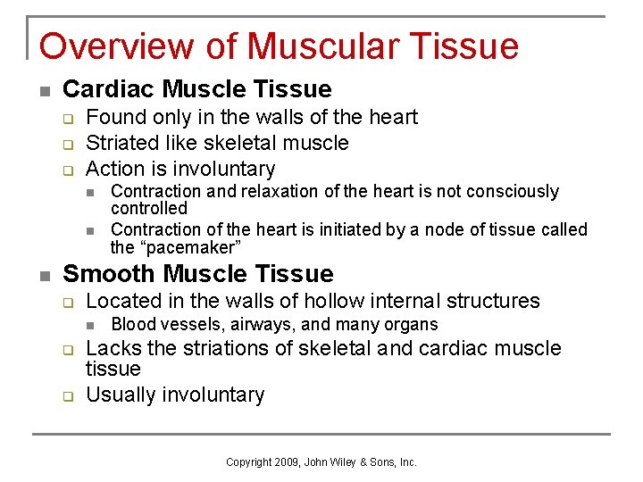 Overview of Muscular Tissue n Cardiac Muscle Tissue q q q Found only in