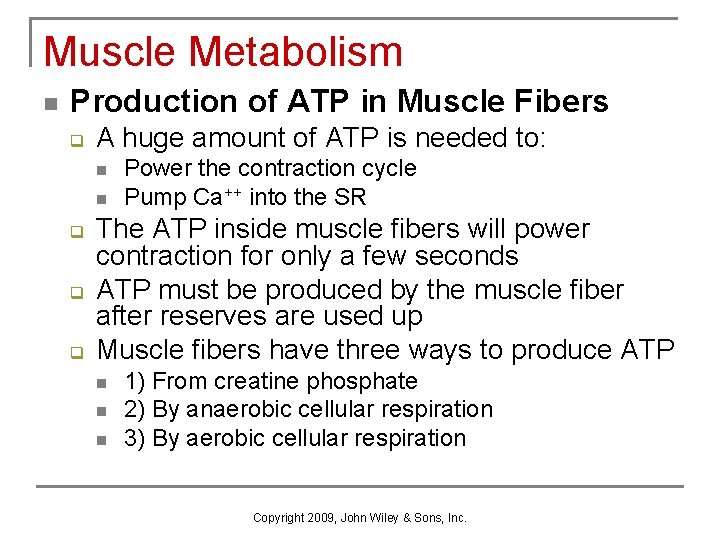 Muscle Metabolism n Production of ATP in Muscle Fibers q A huge amount of