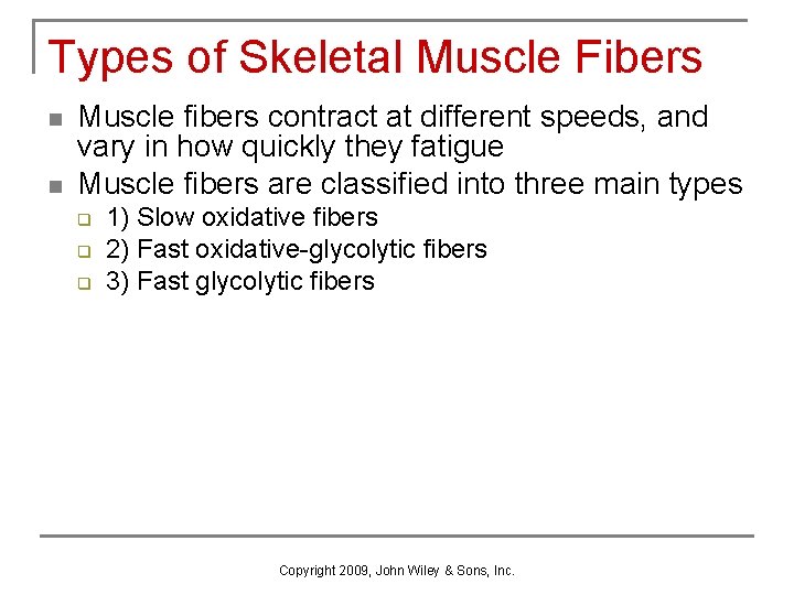 Types of Skeletal Muscle Fibers n n Muscle fibers contract at different speeds, and
