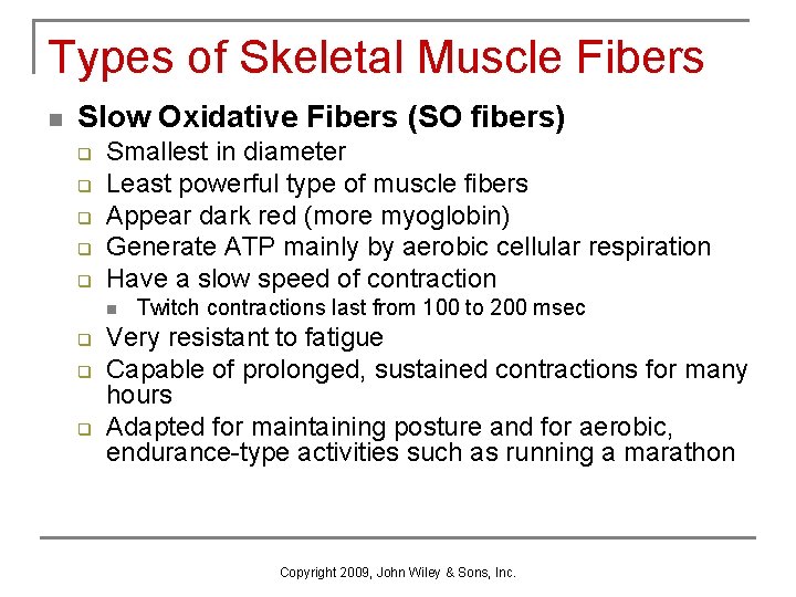 Types of Skeletal Muscle Fibers n Slow Oxidative Fibers (SO fibers) q q q