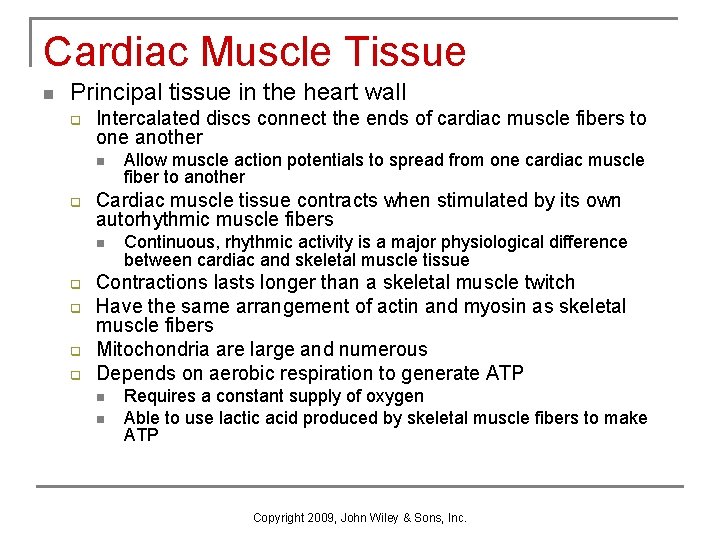 Cardiac Muscle Tissue n Principal tissue in the heart wall q Intercalated discs connect