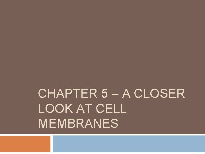 CHAPTER 5 – A CLOSER LOOK AT CELL MEMBRANES 
