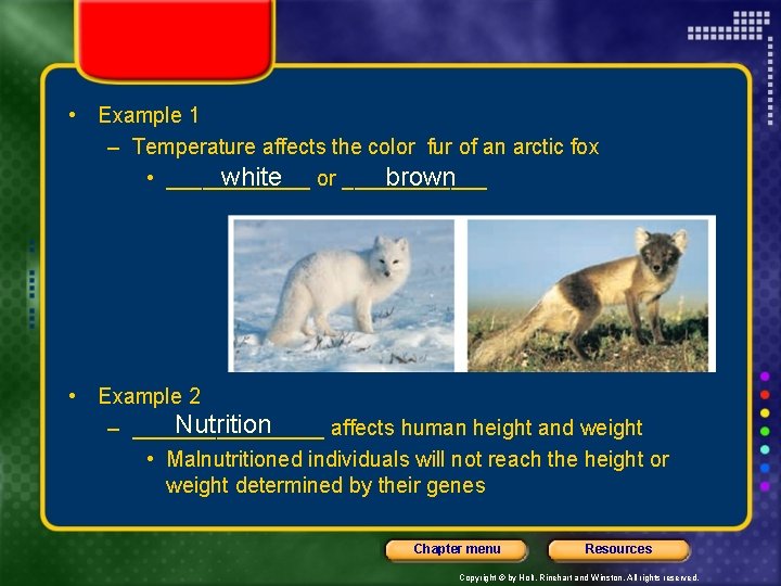  • Example 1 – Temperature affects the color fur of an arctic fox