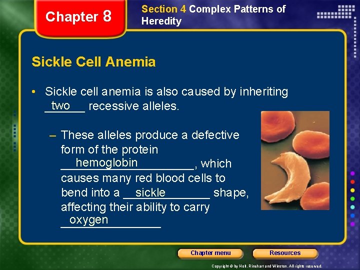 Chapter 8 Section 4 Complex Patterns of Heredity Sickle Cell Anemia • Sickle cell