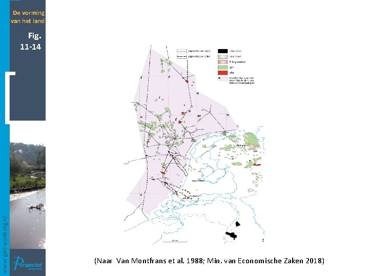 De vorming van het land www-geo-vorming. nl Fig. 11 -14 (Naar Van Montfrans et