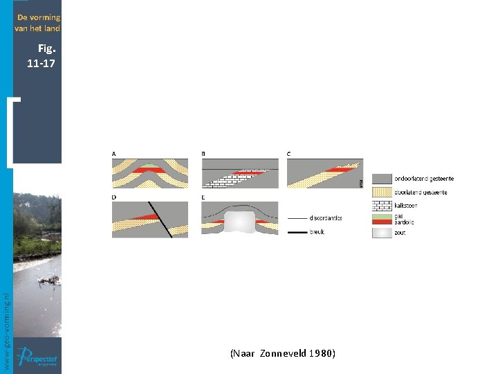 De vorming van het land www-geo-vorming. nl Fig. 11 -17 (Naar Zonneveld 1980) 