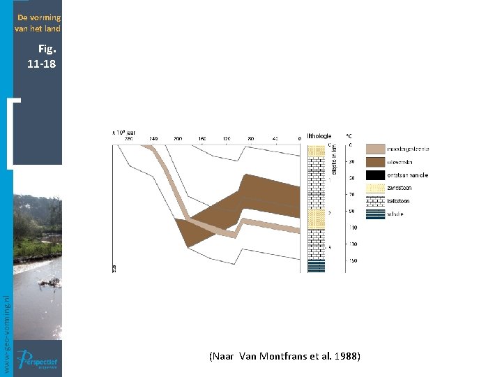 De vorming van het land www-geo-vorming. nl Fig. 11 -18 (Naar Van Montfrans et