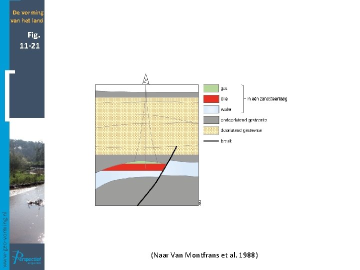 De vorming van het land www-geo-vorming. nl Fig. 11 -21 (Naar Van Montfrans et