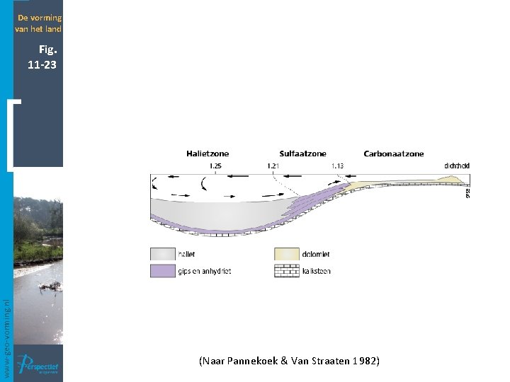 De vorming van het land www-geo-vorming. nl Fig. 11 -23 (Naar Pannekoek & Van