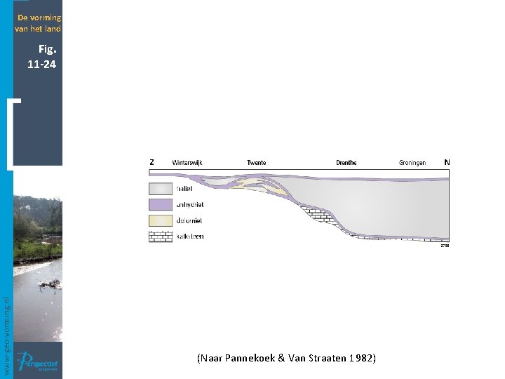 De vorming van het land www-geo-vorming. nl Fig. 11 -24 (Naar Pannekoek & Van