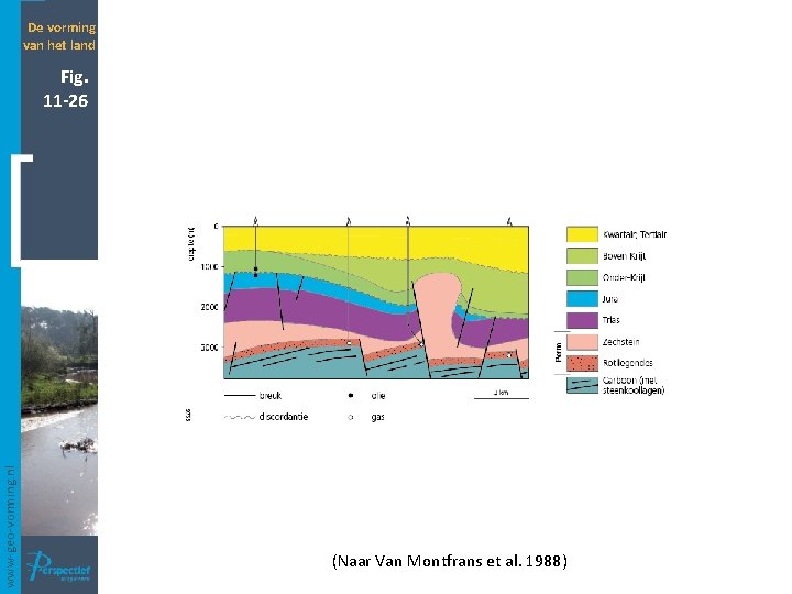 De vorming van het land www-geo-vorming. nl Fig. 11 -26 (Naar Van Montfrans et