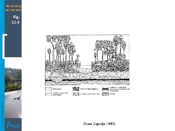 De vorming van het land www-geo-vorming. nl Fig. 11 -2 (Naar Zagwijn 1985) 