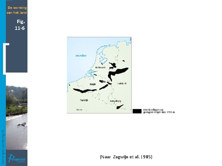 De vorming van het land www-geo-vorming. nl Fig. 11 -6 (Naar Zagwijn et al.