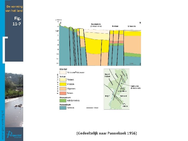 De vorming van het land www-geo-vorming. nl Fig. 11 -7 (Gedeeltelijk naar Pannekoek 1956)