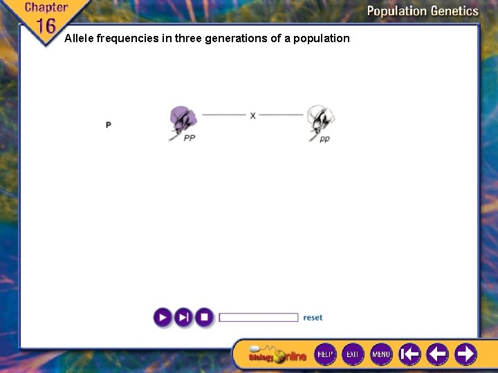 Allele frequencies in three generations of a population 