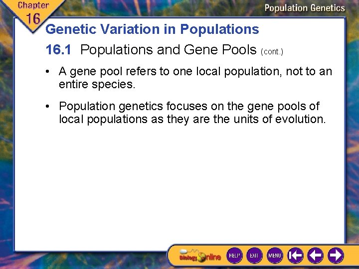 Genetic Variation in Populations 16. 1 Populations and Gene Pools (cont. ) • A