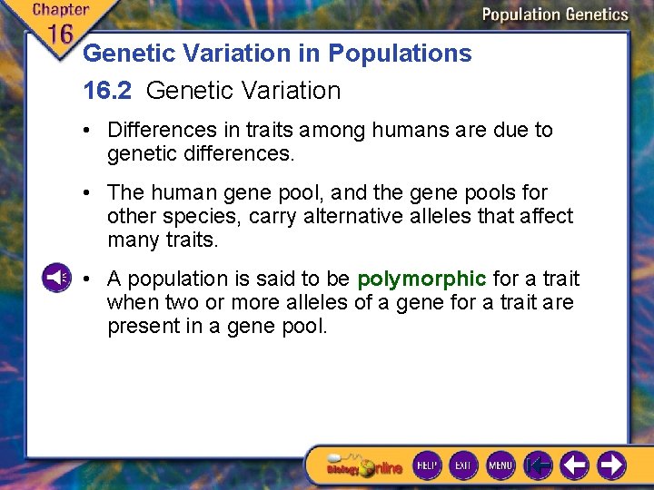 Genetic Variation in Populations 16. 2 Genetic Variation • Differences in traits among humans