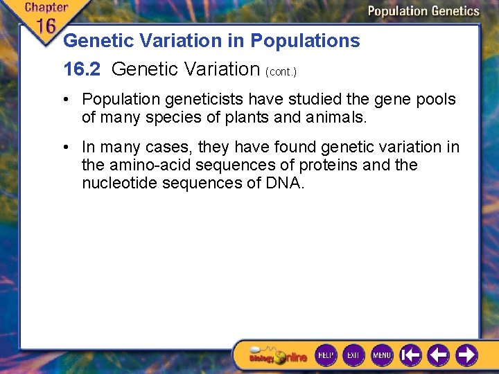 Genetic Variation in Populations 16. 2 Genetic Variation (cont. ) • Population geneticists have