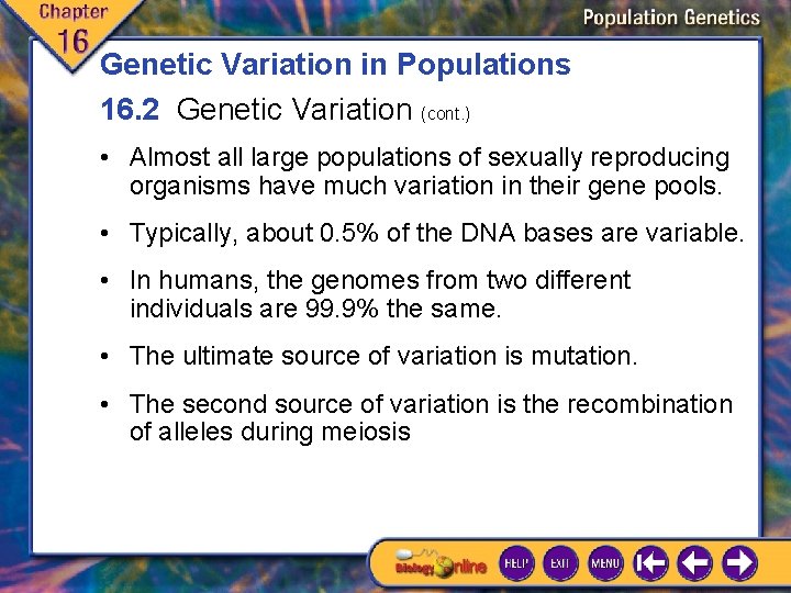 Genetic Variation in Populations 16. 2 Genetic Variation (cont. ) • Almost all large