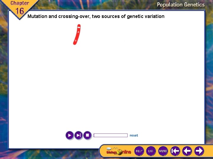 Mutation and crossing-over, two sources of genetic variation 