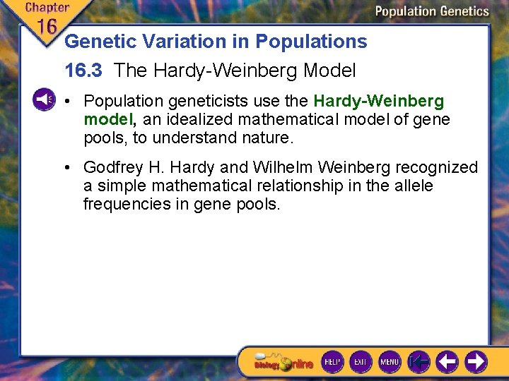 Genetic Variation in Populations 16. 3 The Hardy-Weinberg Model • Population geneticists use the