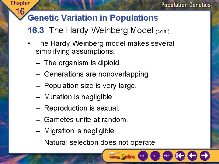 Genetic Variation in Populations 16. 3 The Hardy-Weinberg Model (cont. ) • The Hardy-Weinberg