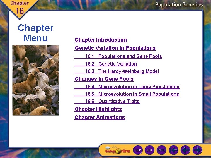 Chapter Menu Chapter Introduction Genetic Variation in Populations 16. 1 Populations and Gene Pools
