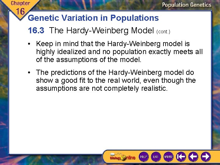 Genetic Variation in Populations 16. 3 The Hardy-Weinberg Model (cont. ) • Keep in