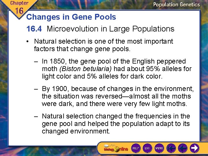 Changes in Gene Pools 16. 4 Microevolution in Large Populations • Natural selection is