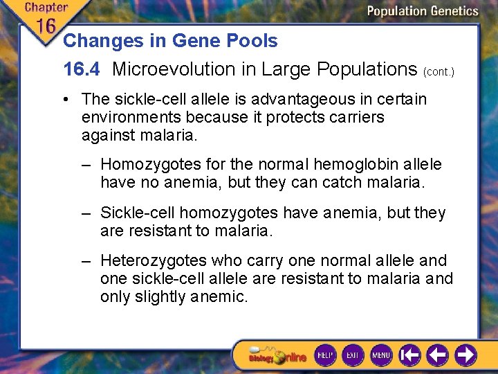 Changes in Gene Pools 16. 4 Microevolution in Large Populations (cont. ) • The