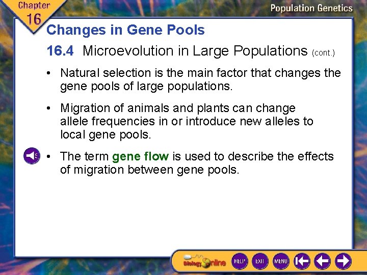 Changes in Gene Pools 16. 4 Microevolution in Large Populations (cont. ) • Natural