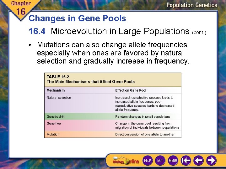 Changes in Gene Pools 16. 4 Microevolution in Large Populations (cont. ) • Mutations