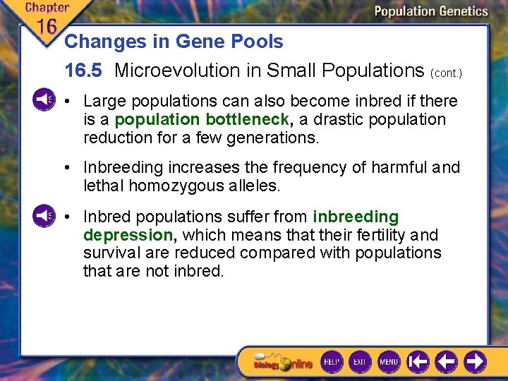Changes in Gene Pools 16. 5 Microevolution in Small Populations (cont. ) • Large