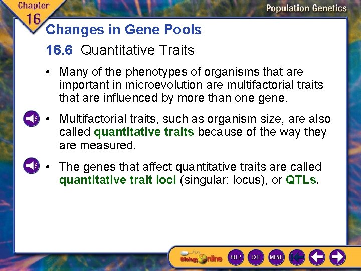 Changes in Gene Pools 16. 6 Quantitative Traits • Many of the phenotypes of