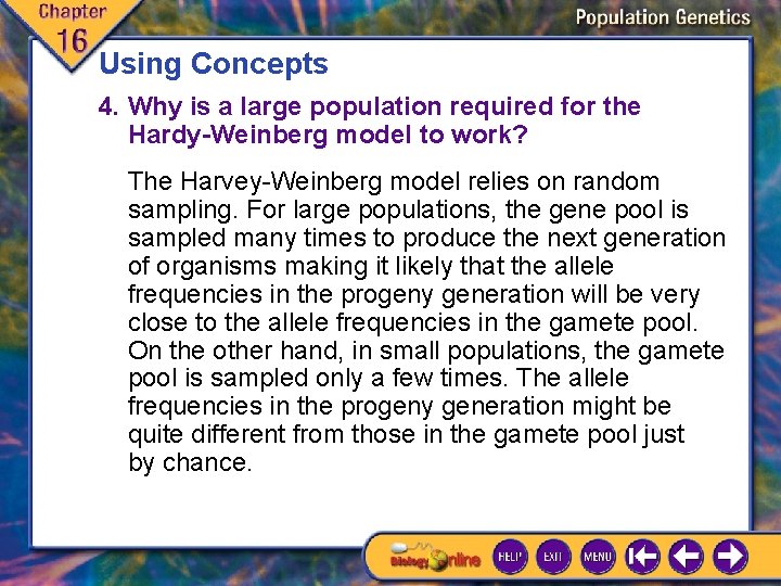 Using Concepts 4. Why is a large population required for the Hardy-Weinberg model to