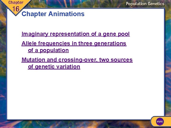 Chapter Animations Imaginary representation of a gene pool Allele frequencies in three generations of