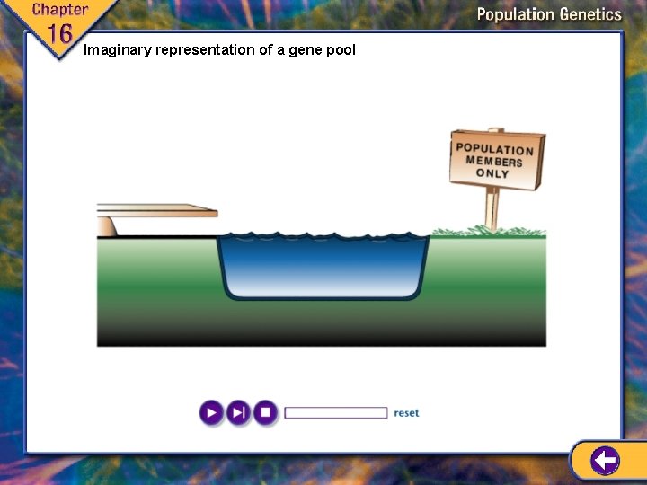 Imaginary representation of a gene pool 