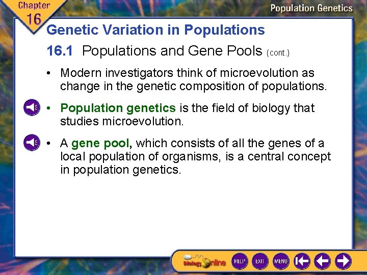 Genetic Variation in Populations 16. 1 Populations and Gene Pools (cont. ) • Modern