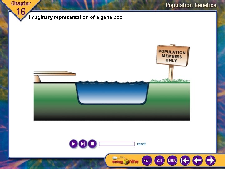 Imaginary representation of a gene pool 