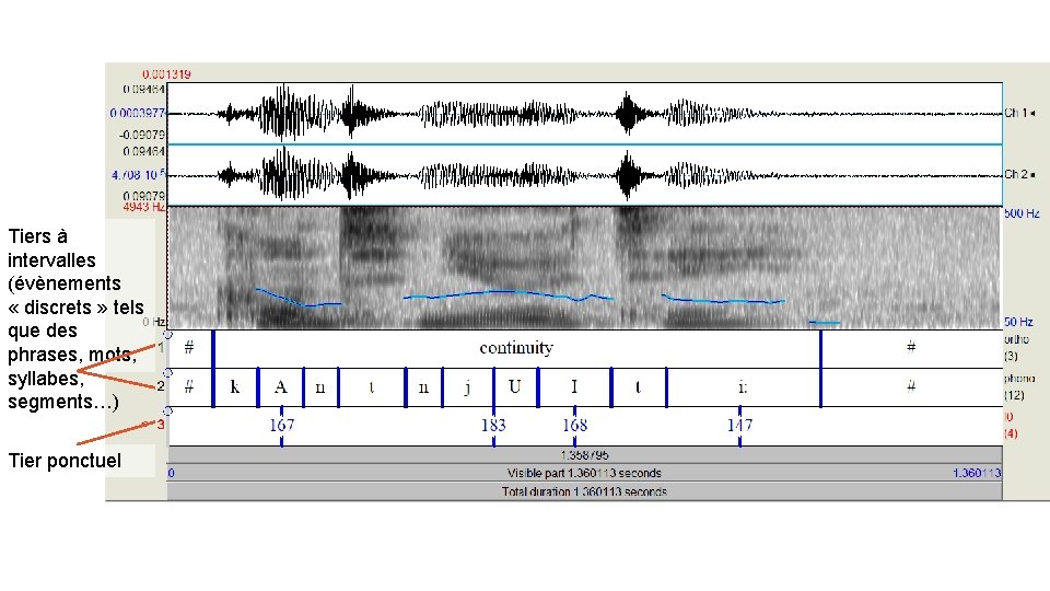 Tiers à intervalles (évènements « discrets » tels que des phrases, mots, syllabes, segments…) Tiers à intervalles (évènements « discrets » tels que des phrases, mots, syllabes, segments…)