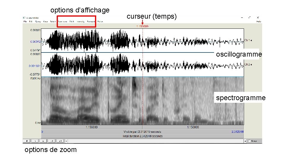 options d’affichage curseur (temps) oscillogramme spectrogramme options de zoom 