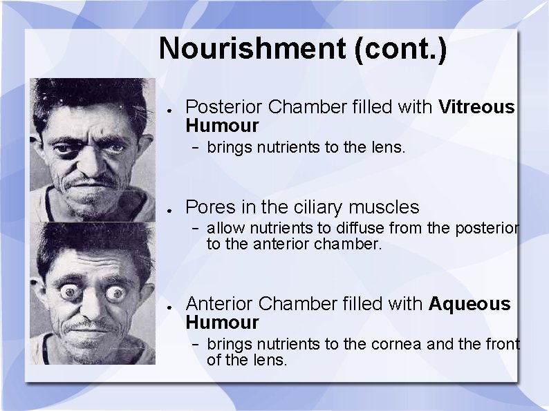 Nourishment (cont. ) ● Posterior Chamber filled with Vitreous Humour − ● Pores in