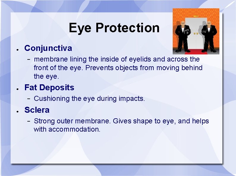 Eye Protection ● Conjunctiva − ● Fat Deposits − ● membrane lining the inside