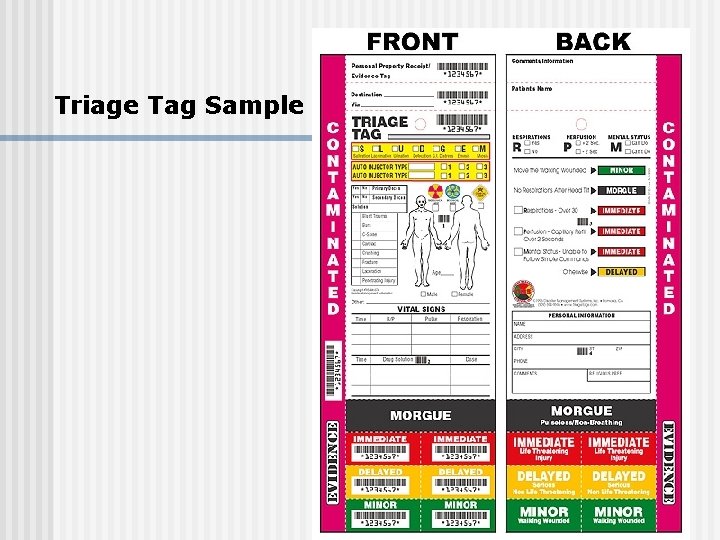 Triage Tag Sample 