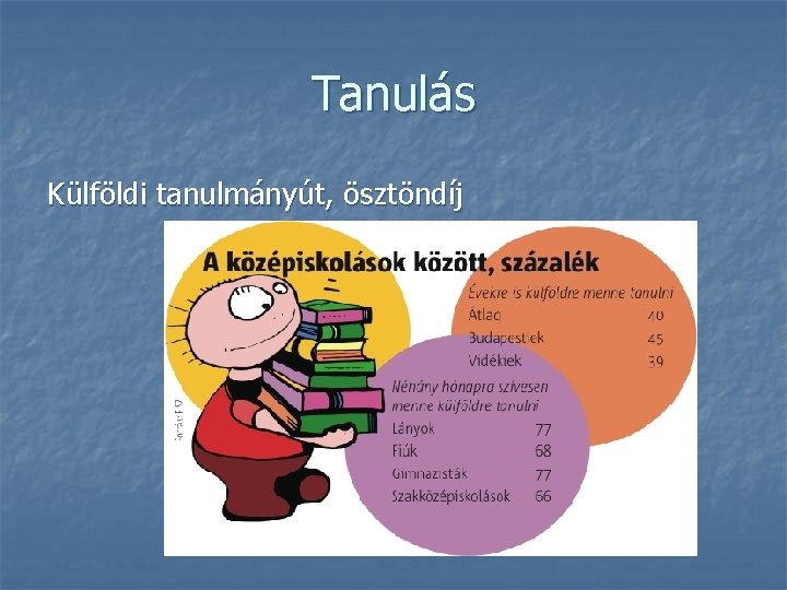 Tanulás Külföldi tanulmányút, ösztöndíj 